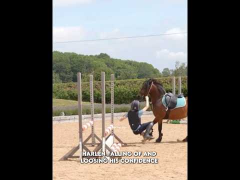 Demir was amazing 🥹 poor harlen 💔 #horse #viral #blowup #like #sub #fyp #shorts #fall #edit