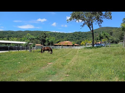 Chácara 17 HEC  VAL 1.800,00 ENTRE Aragoiânia/Varjão 55 km Goiânia62 981414270 3,5AlquACEITA IMÓVEIS