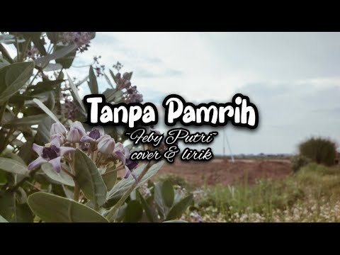 Tanpa Pamrih - Feby Putri (cover & lirik)