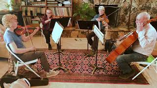 Silver Strings play &quot;The Lovers&#39; Waltz&quot;