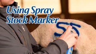 Using Spray Stock Marker