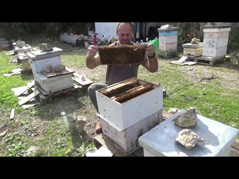 20/01/2019 соединяю семью которая прилетела с безматочной