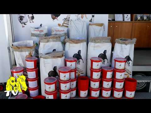 Pferd Inter. 2017 Muenchen - heisse Infos von mifuma Pferdefutter