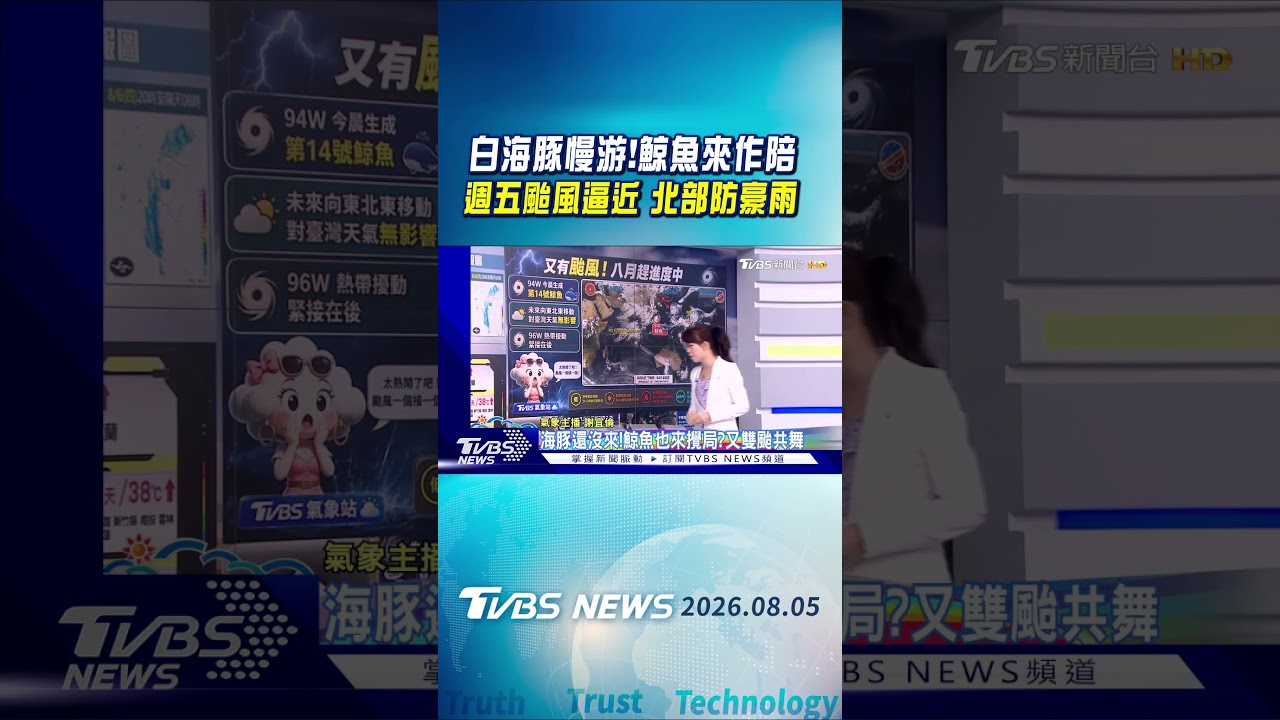 天氣/白海豚慢游!鯨魚來作陪 週五颱風逼近 北部防豪雨 ｜氣象主播 謝宜倫｜早安氣象｜TVBS新聞 20260805 @TVBSNEWS01
