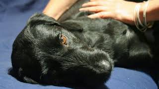 The Cab   Falling Up  ( Chilled RNB )