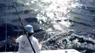 preview picture of video 'Mahahual Fishing. Yo Amo Mahahual.com'