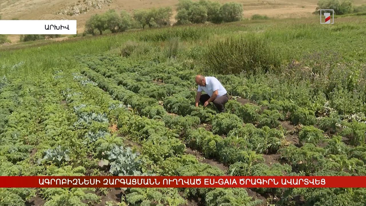 Ագրոբիզնեսի զարգացմանն ուղղված EU-GAIA ծրագիրն ավարտվեց
