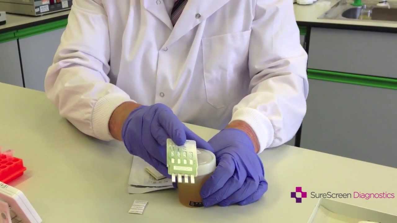 How to Conduct a Multipanel Drug Test