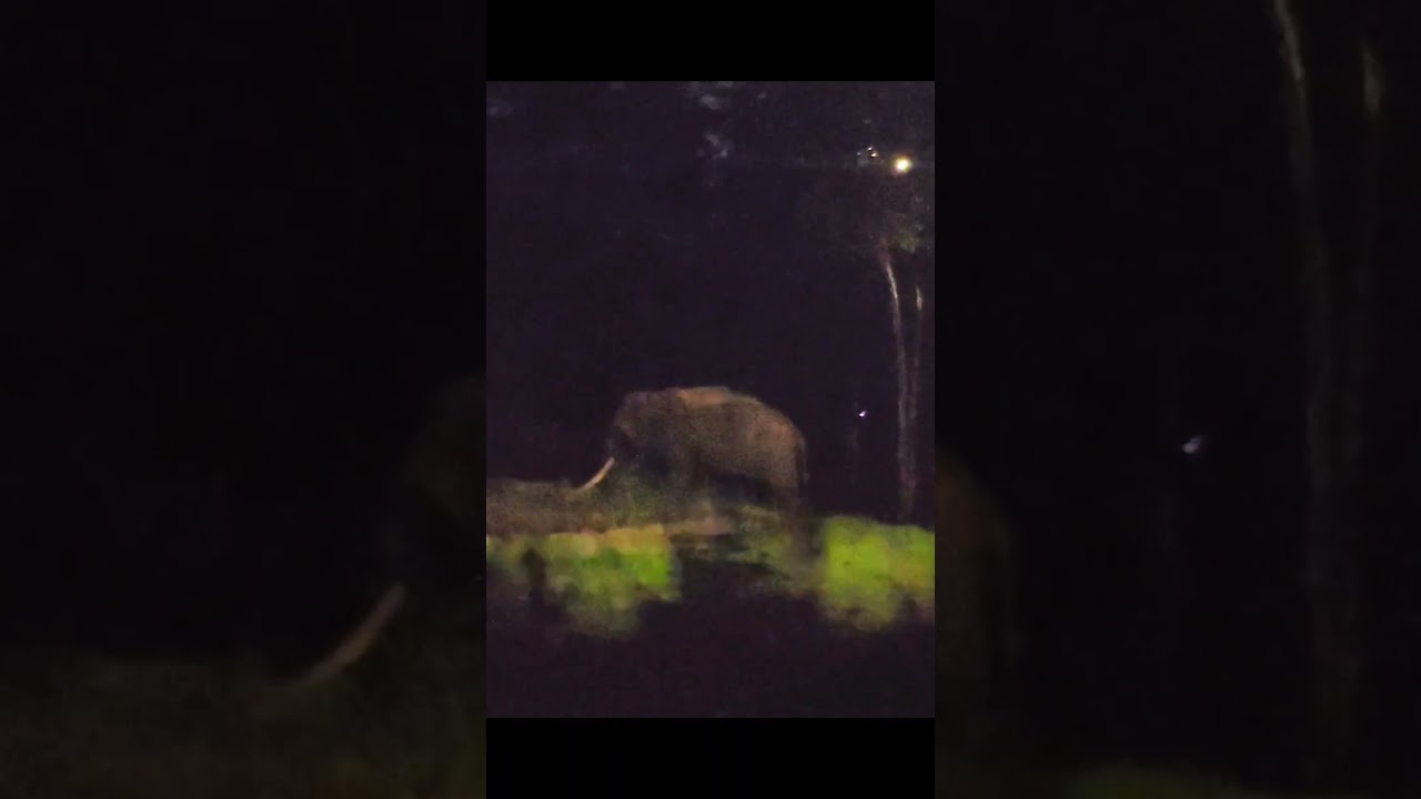 YouTube Short thumbnail