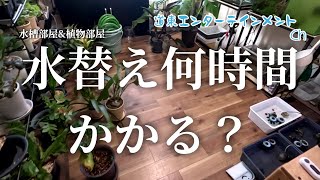【水槽部屋】我が家の水槽部屋、全水槽いったい何時間掛かる？を撮影してみた