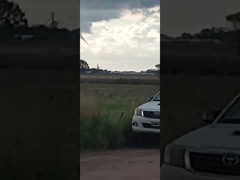 Nube embudo en Coronel Suárez, Buenos Aires.🎥 01/04/26 #nubeembudo #viento