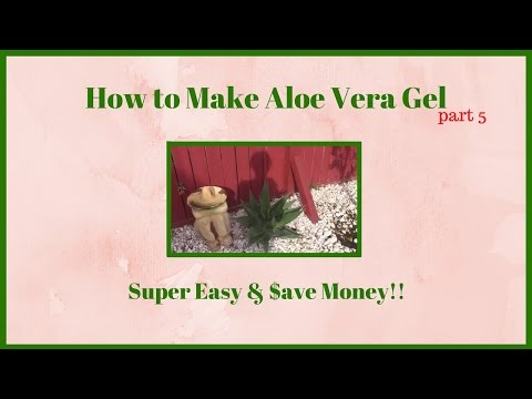 aloe vera y próstata