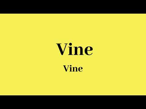 How to Pronounce Vine