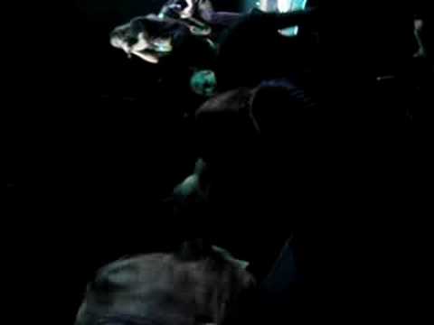 CRYPTOPSY Montreal-Hey fille!!! 2008 XES