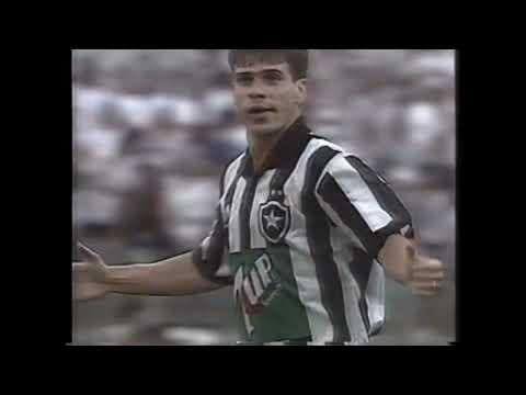 Final do Campeonato Brasileiro 1995 ( 2 FINAIS 1995 )