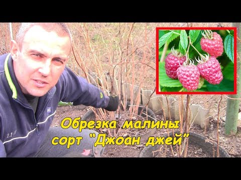 Ritka pulzus magas vérnyomással