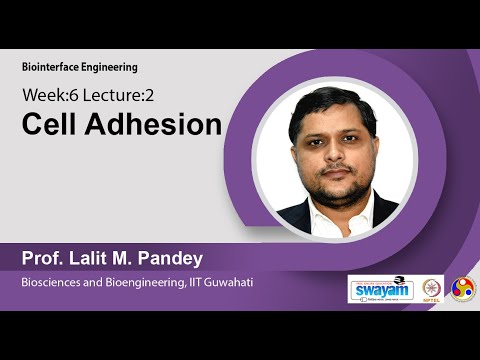 Biointerface Engineering Intro Video