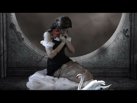 Ήρθες εσύ~Ζαχαράκος Αλέκος