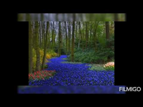 Ehe praktisch auf Siegeskurs bringen!