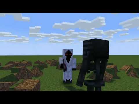 Me Wither Skeleton VS Entity 303 Minecraft Animation | Wither YT
