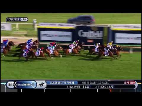 Caulfield Cup 2020 Verry Elleegant