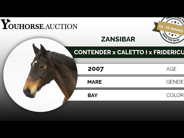 Zansibar