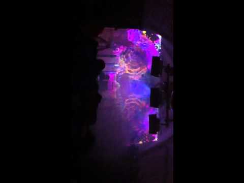 Dj Takkyu ishino vj HiraLion