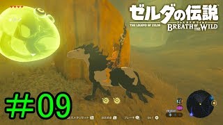 【実況】見落としが多い勇者の冒険part9【ブレスオブザワイルド】