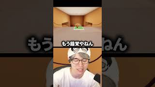 錯覚で頭がおかしくなる配信者 #葉 #superliminal