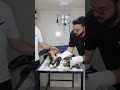 How To Deal With Angry Cat And Ferocious Cat Part 102