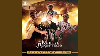 El Coronel Lyrics English Translation
