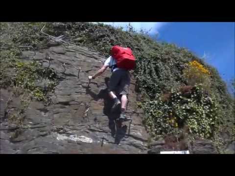 Der Collis Steilpfad bei Zell (Mosel)...