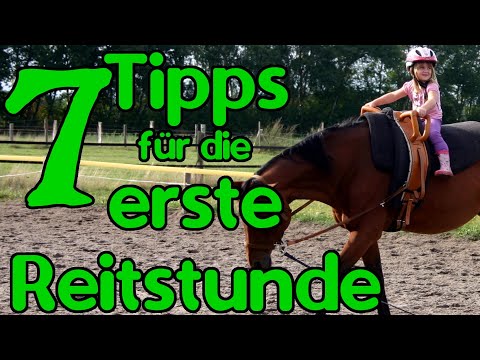 Erste Reitstunde - 7 Dinge die Du wissen musst