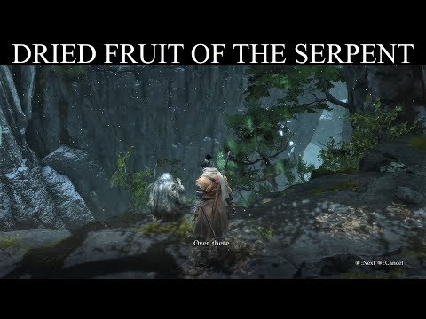 Sekiro: Dried Fruit Of The Serpent - Old Lady Quest