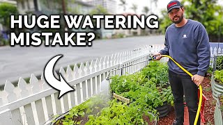 5 Watering Mistakes You