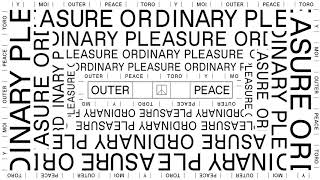 Toro y Moi - “Ordinary Pleasure” (visualizer)