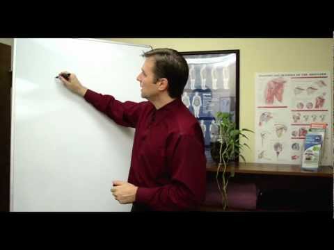 Adrenal Body Type Seminar by Dr Eric Berg