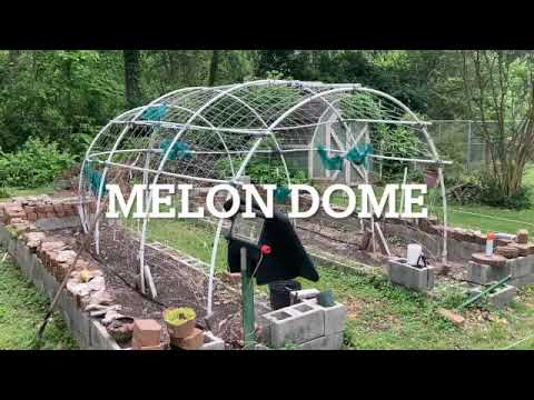 How to Build A Melon Dome   SD 480p