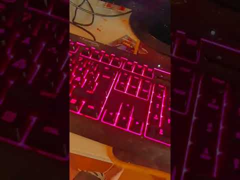 add me on discord and roblox