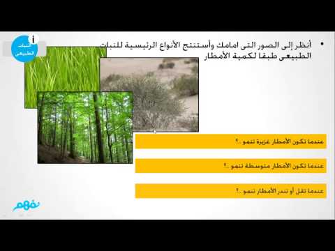 فيديو تعليمي