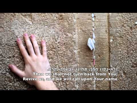 Gefen Alon Tamir גפן