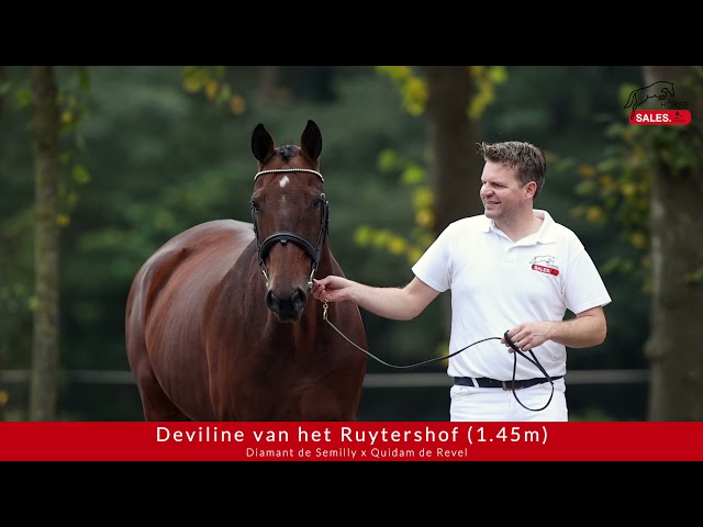 Mother of this Embryo is the CSI 1.45m jumping mare Deviline van't Ruytershof.