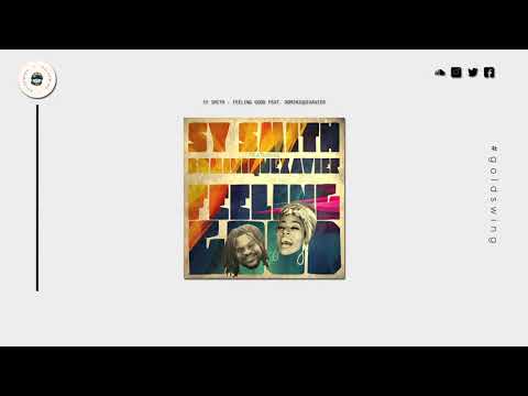 Sy Smith - Feeling Good (feat. DominiqueXavier)