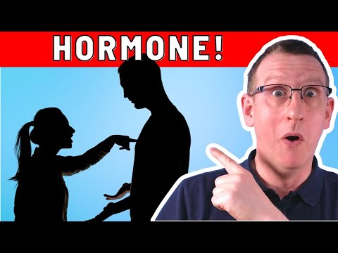 Progesteronmangel & Hormone - FAQ