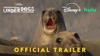 Underdogs on NatGeo | Official Trailer