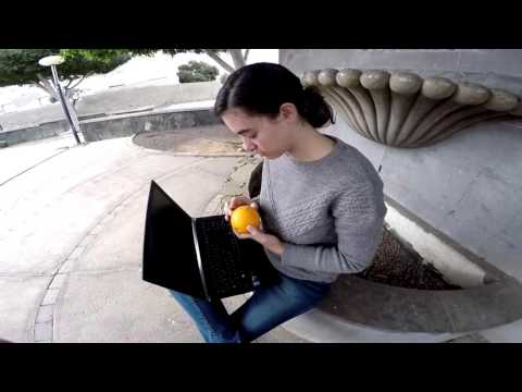 Comida con distinto valor