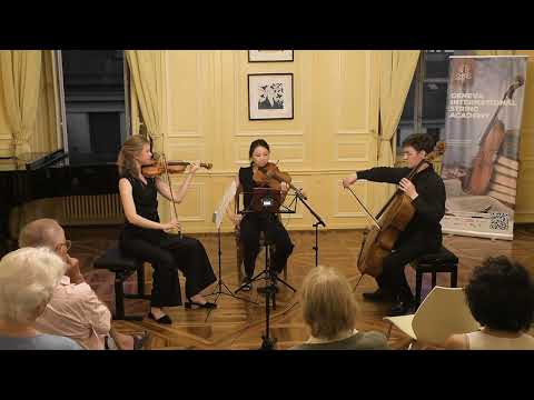 'Up above': String trio in harmonics at the Geneva International String Academy (Garth Knox)