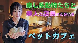鳥類激増!?田辺市の癒し系動物と美人な店長さんがいるオシャレな動物カフェ【和歌山×女装】 #鳥類 #爬虫類 #ペットショップ