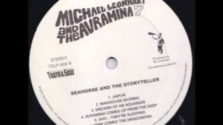 Michael Leonhart & The Avramina 7 - The Story of Echo Lake