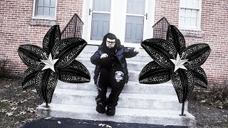 Download lagu Joeyy - Wallflower 🌼 mp3